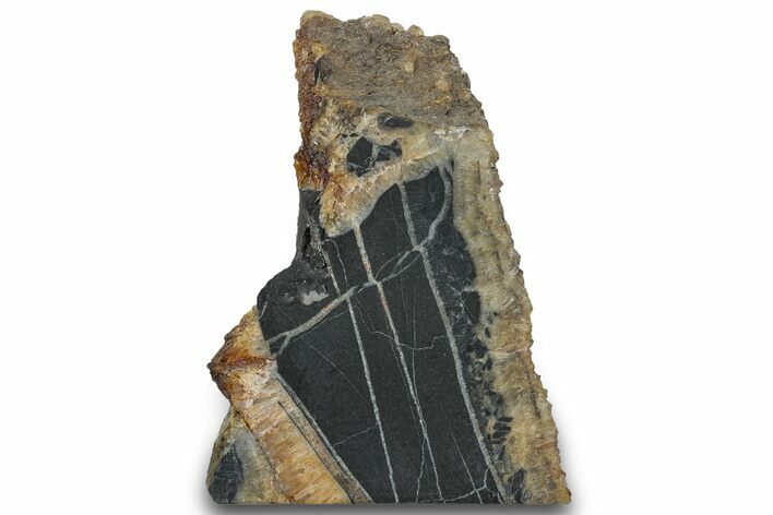 Midcontinent Rift Section - Ontario, Canada #300053